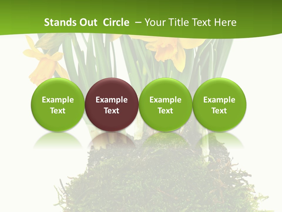 Flower Freshness Colorful PowerPoint Template