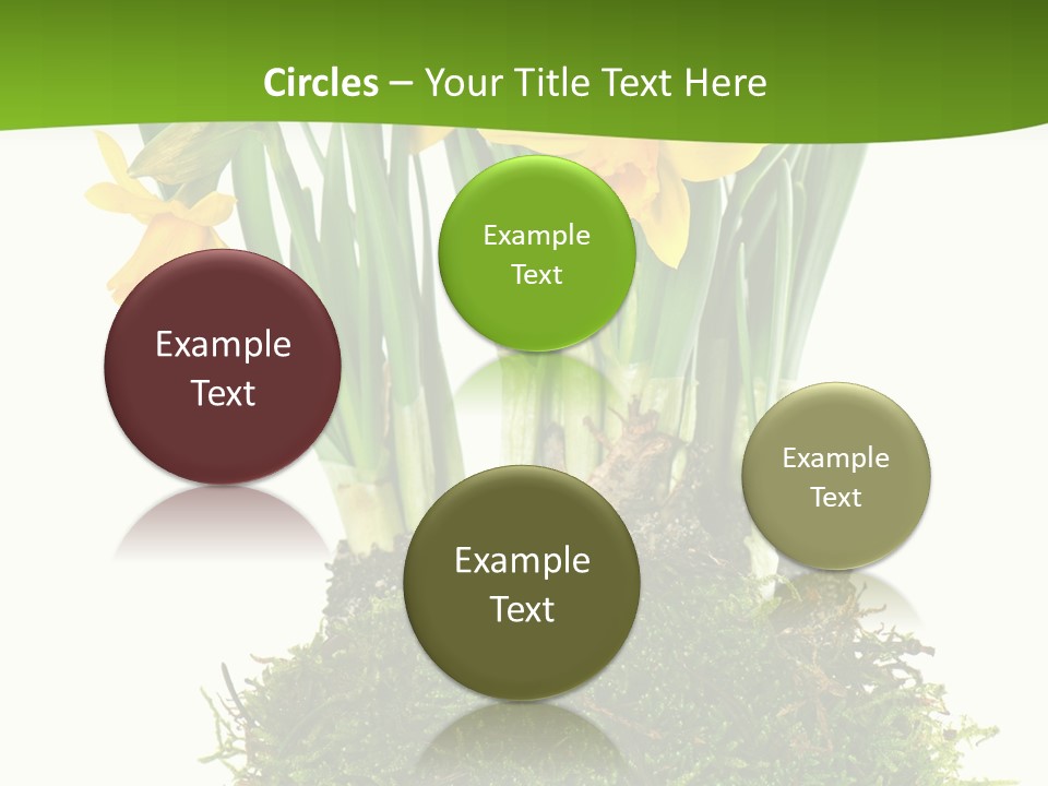 Flower Freshness Colorful PowerPoint Template