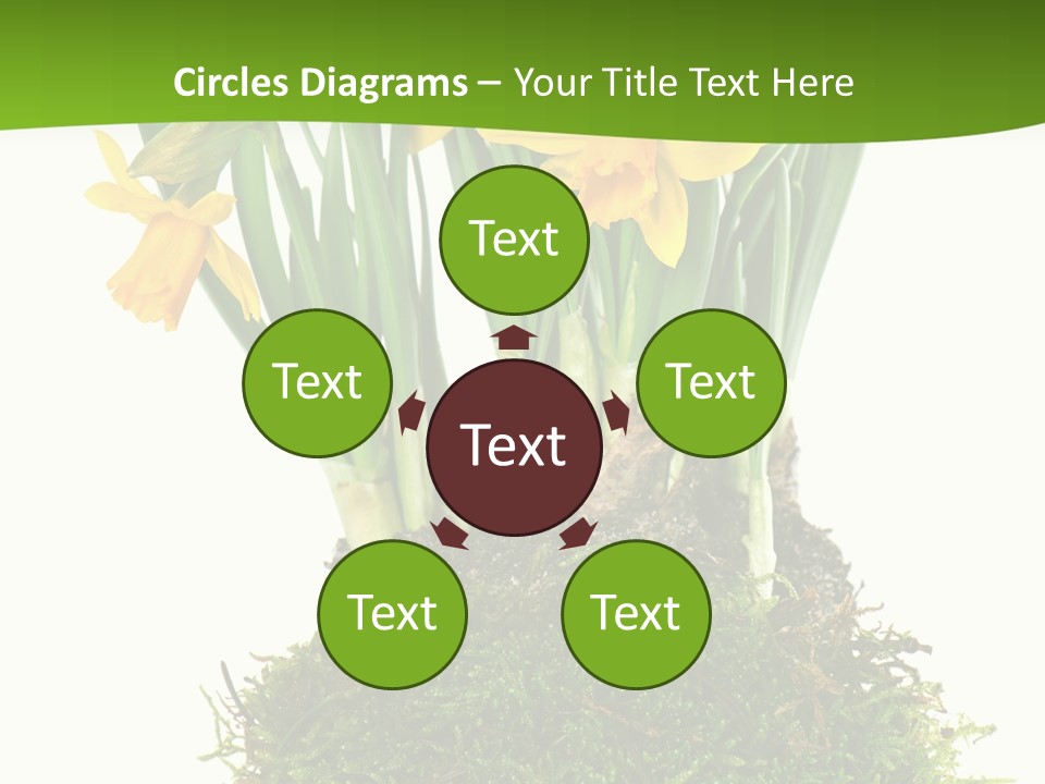 Flower Freshness Colorful PowerPoint Template