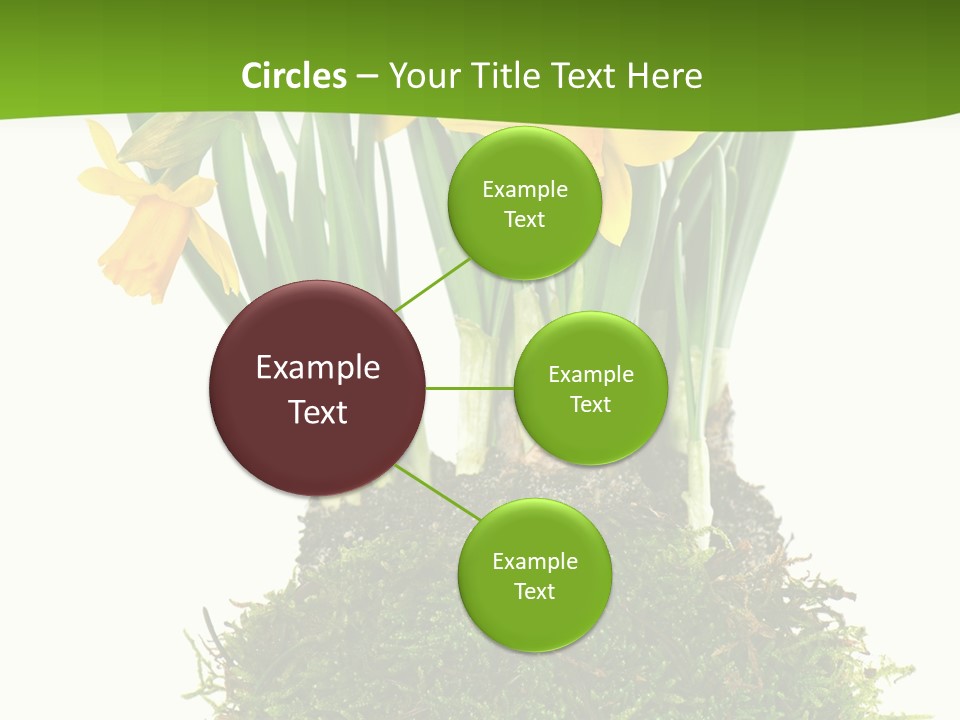 Flower Freshness Colorful PowerPoint Template