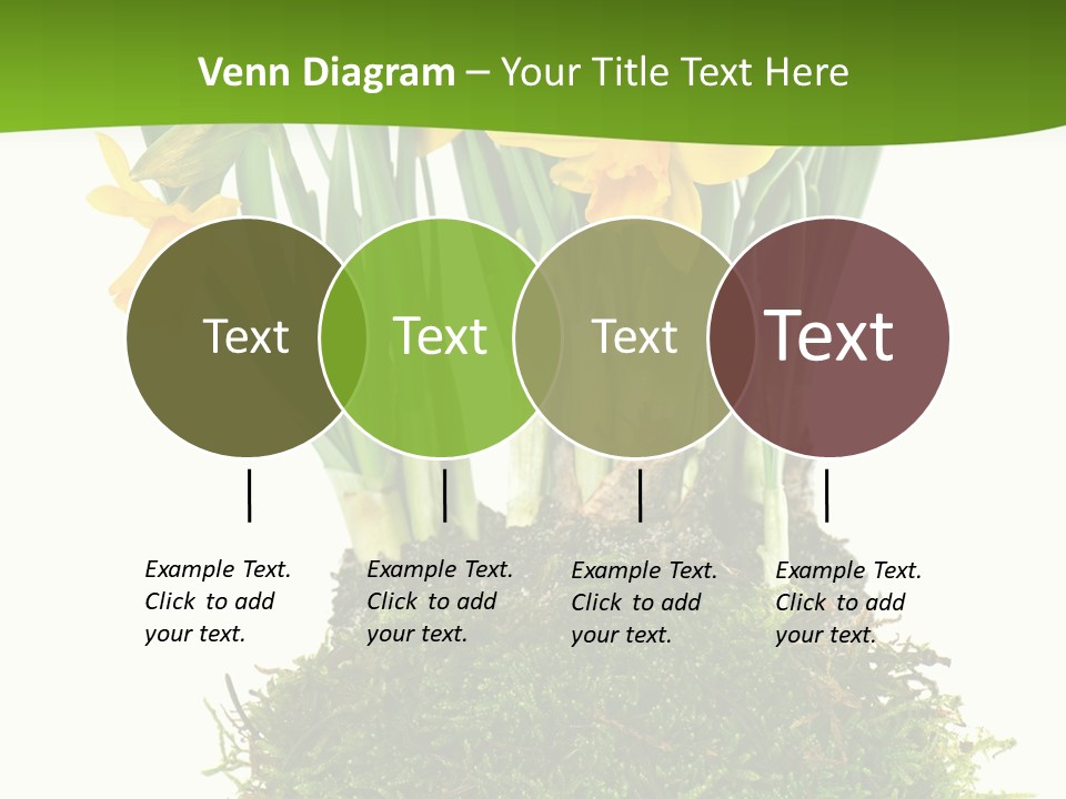 Flower Freshness Colorful PowerPoint Template