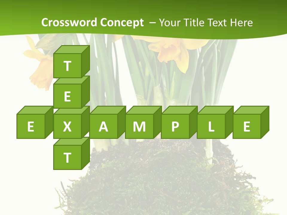 Flower Freshness Colorful PowerPoint Template