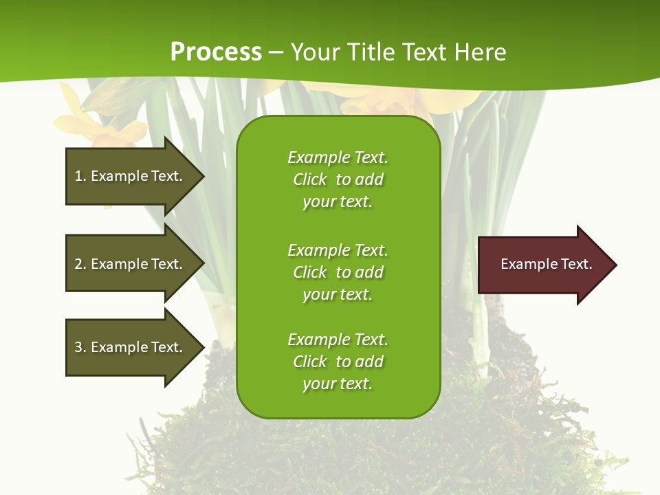 Flower Freshness Colorful PowerPoint Template