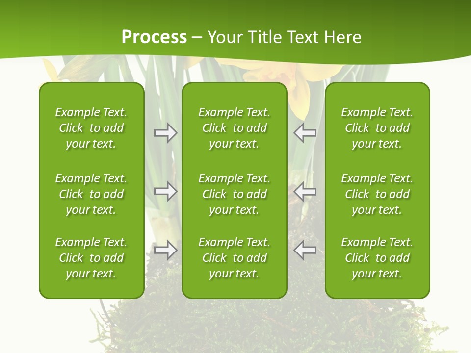 Flower Freshness Colorful PowerPoint Template