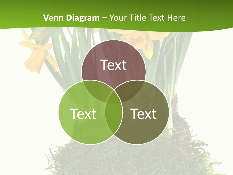 Flower Freshness Colorful PowerPoint Template