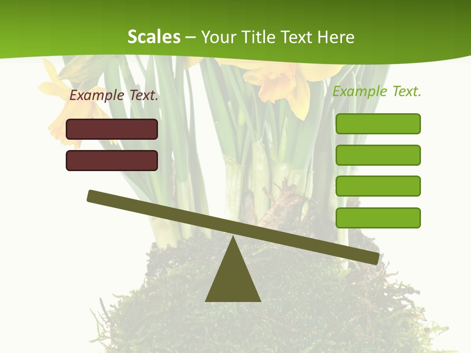 Flower Freshness Colorful PowerPoint Template