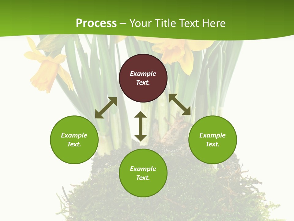 Flower Freshness Colorful PowerPoint Template