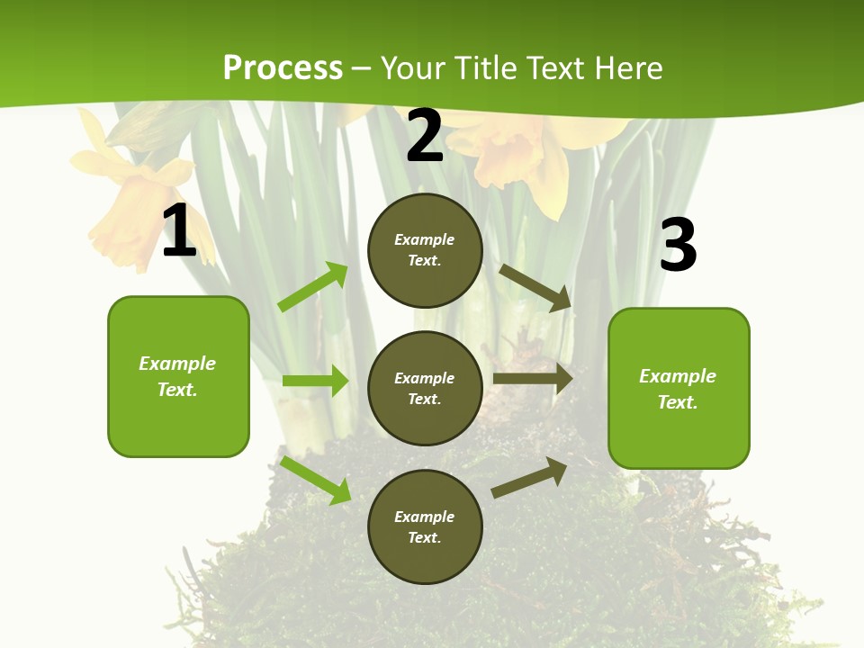 Flower Freshness Colorful PowerPoint Template