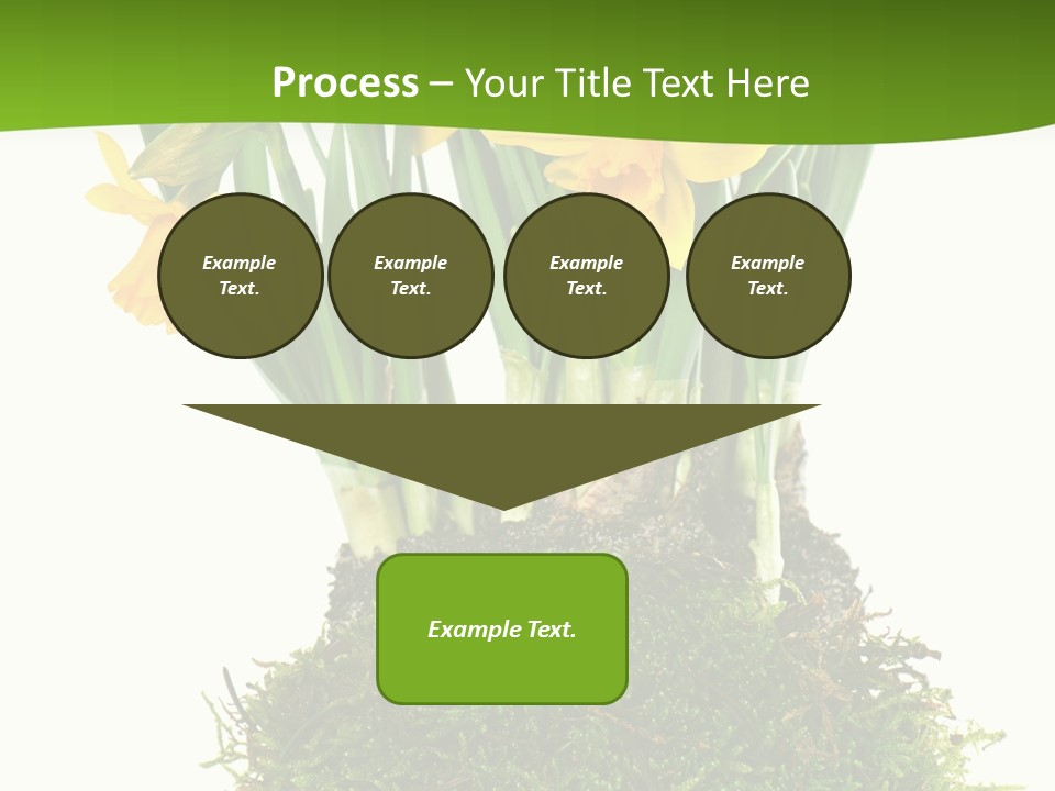 Flower Freshness Colorful PowerPoint Template