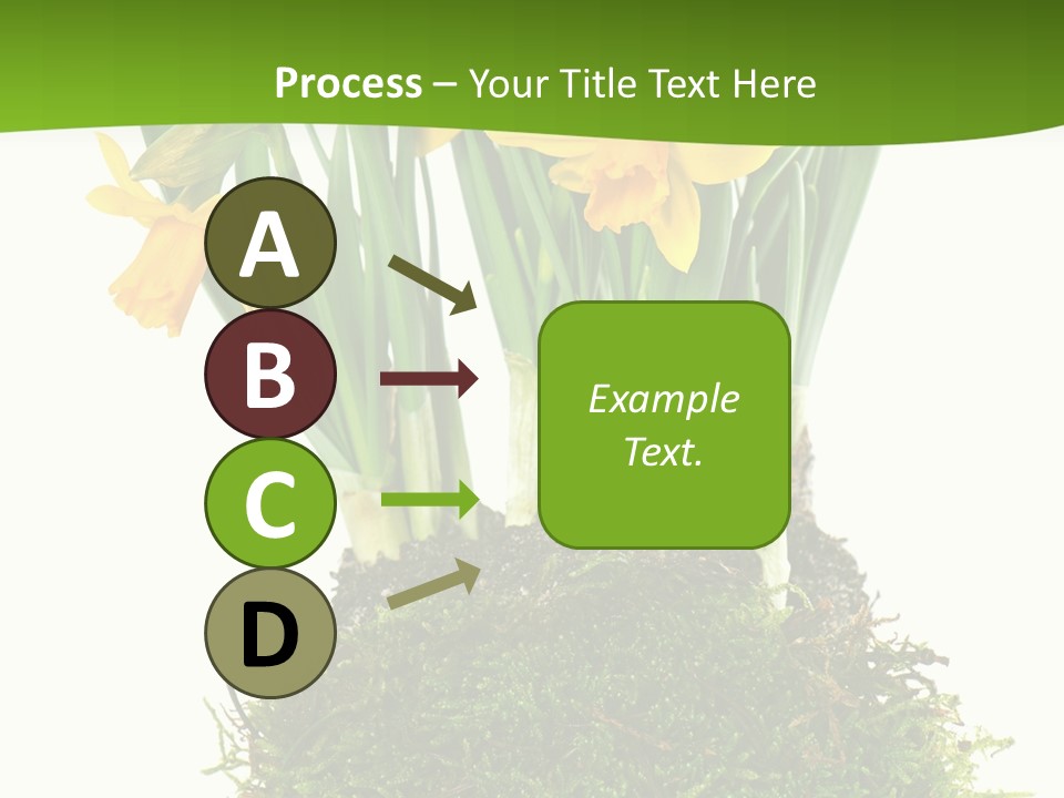 Flower Freshness Colorful PowerPoint Template