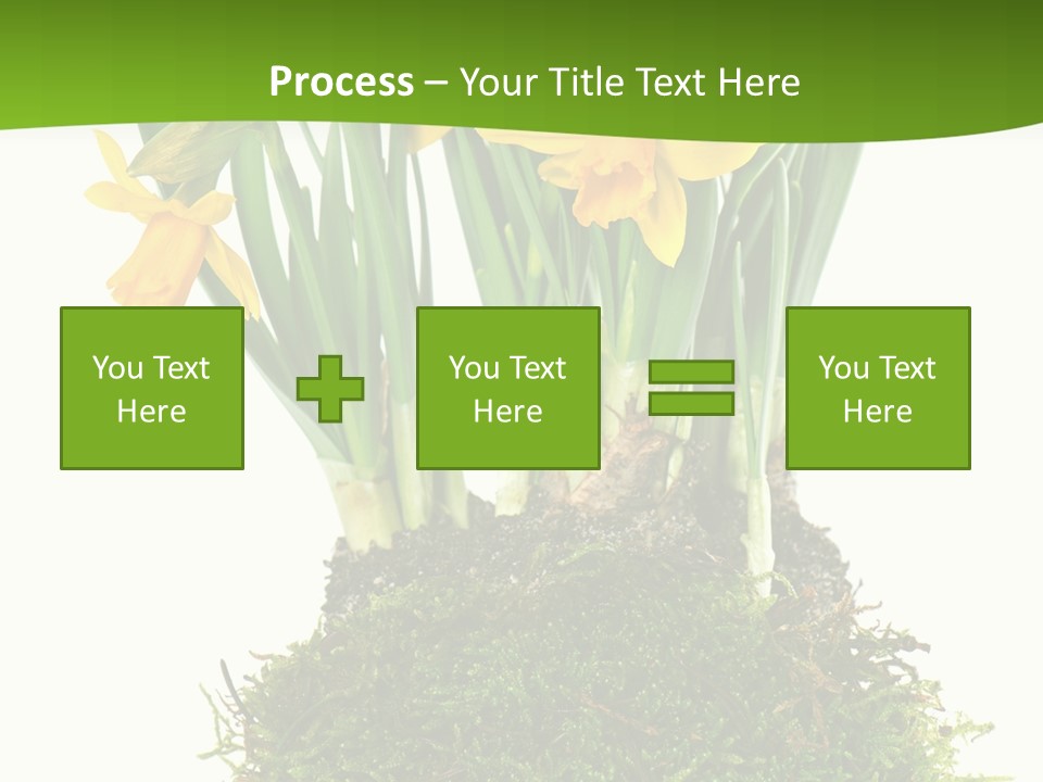 Flower Freshness Colorful PowerPoint Template