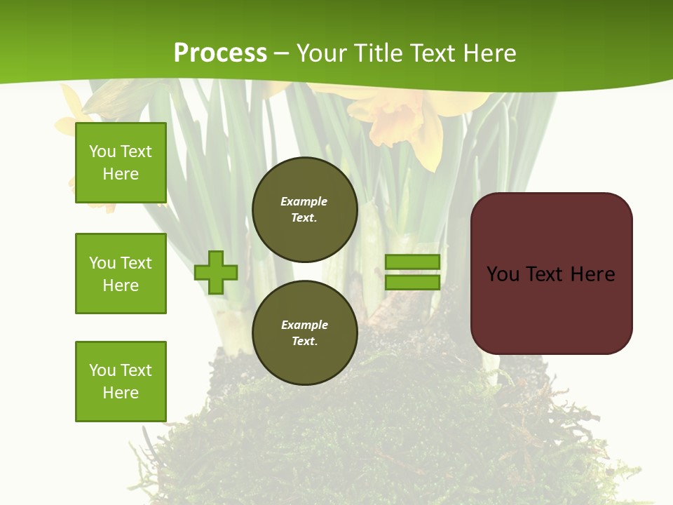 Flower Freshness Colorful PowerPoint Template