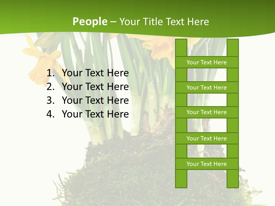 Flower Freshness Colorful PowerPoint Template