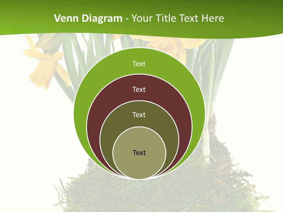 Flower Freshness Colorful PowerPoint Template