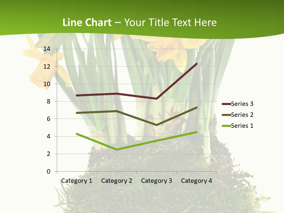 Flower Freshness Colorful PowerPoint Template