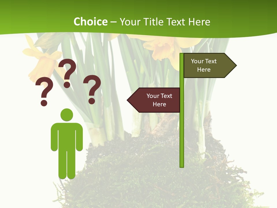 Flower Freshness Colorful PowerPoint Template