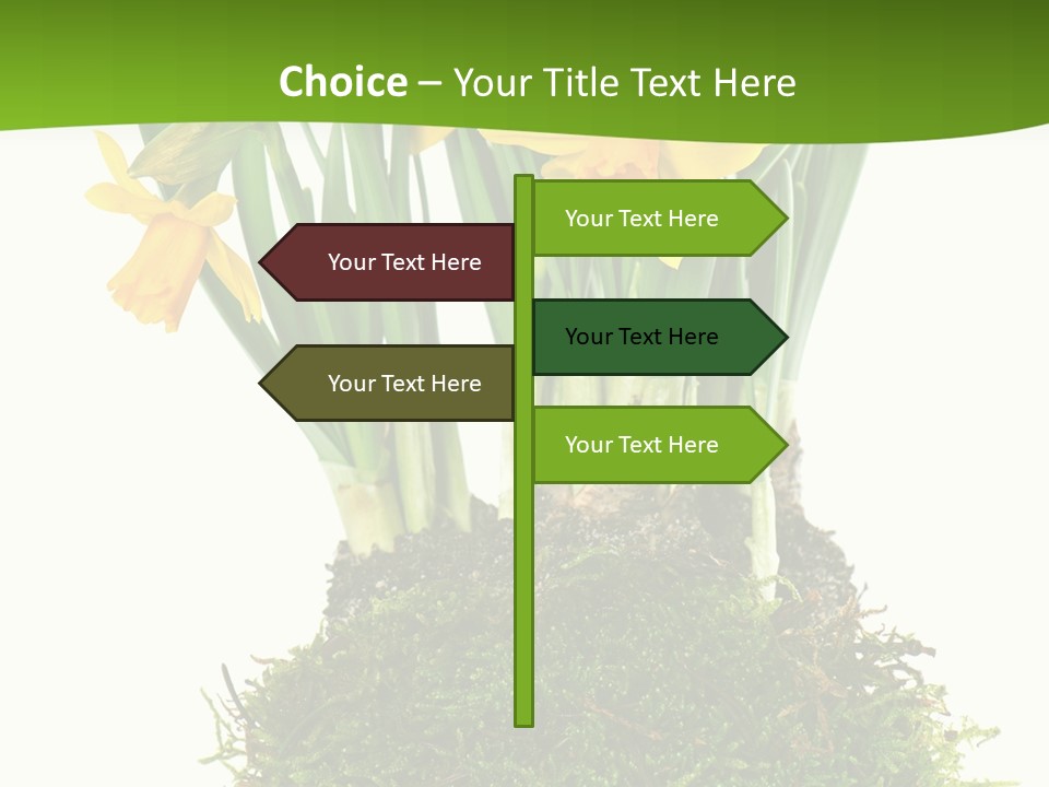 Flower Freshness Colorful PowerPoint Template