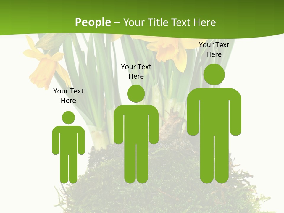 Flower Freshness Colorful PowerPoint Template