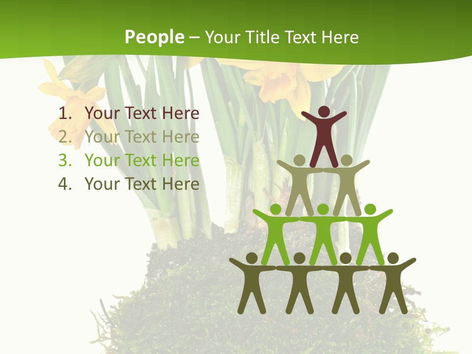 Flower Freshness Colorful PowerPoint Template