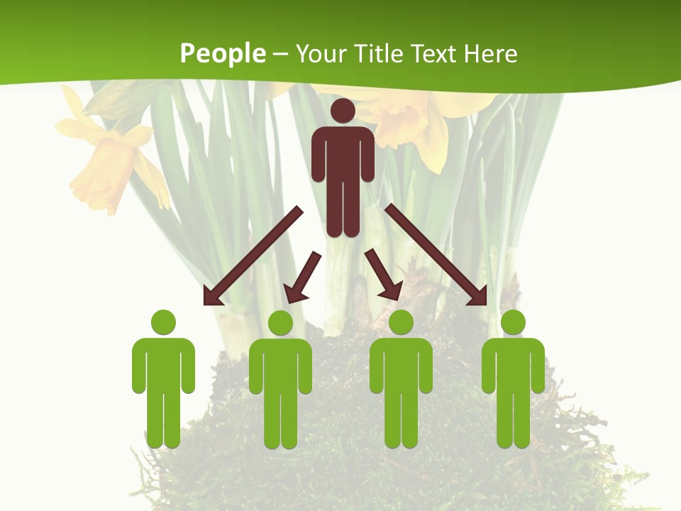 Flower Freshness Colorful PowerPoint Template