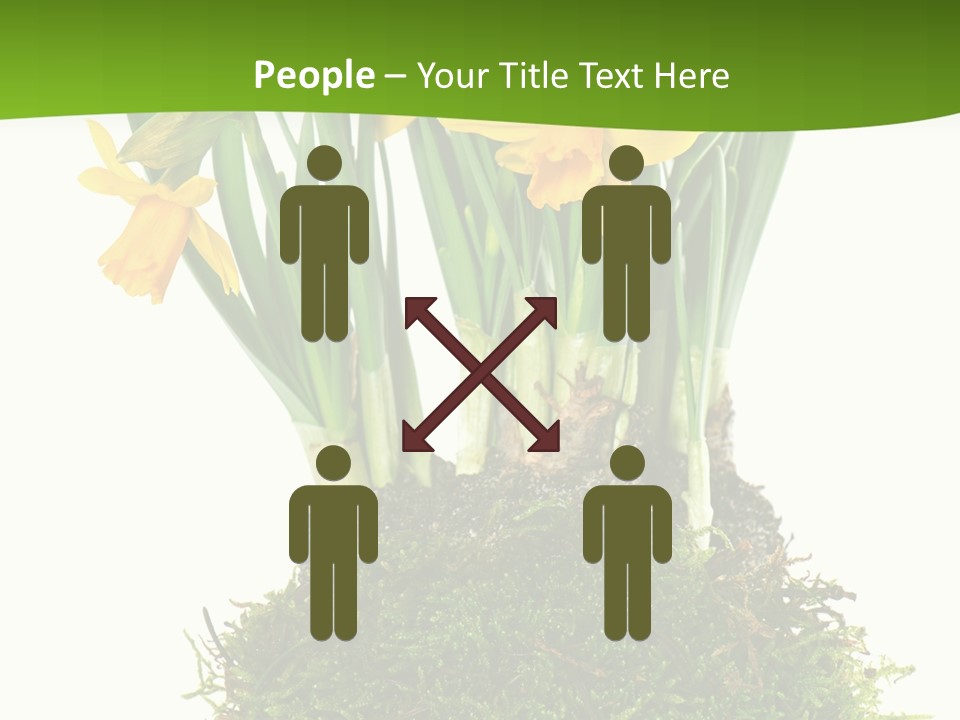 Flower Freshness Colorful PowerPoint Template