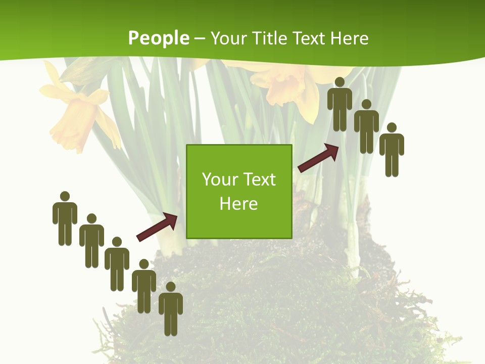 Flower Freshness Colorful PowerPoint Template