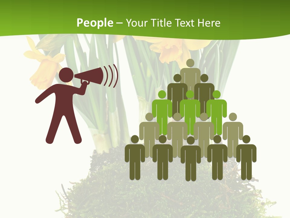 Flower Freshness Colorful PowerPoint Template