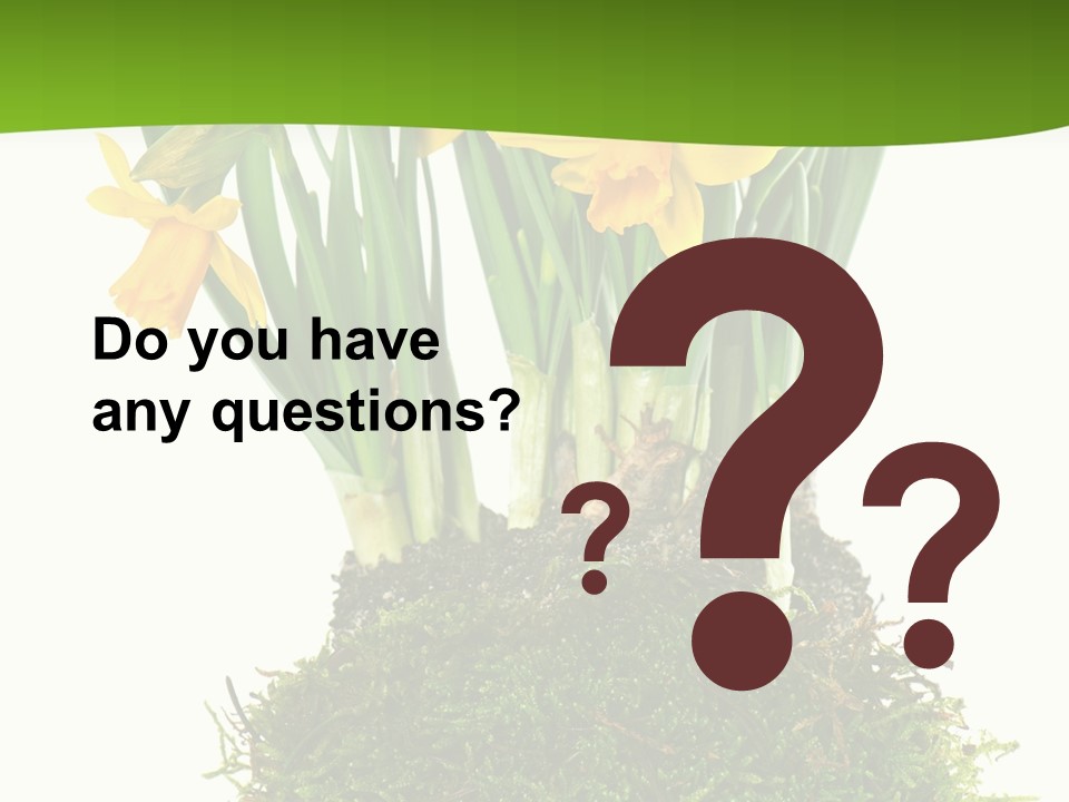 Flower Freshness Colorful PowerPoint Template