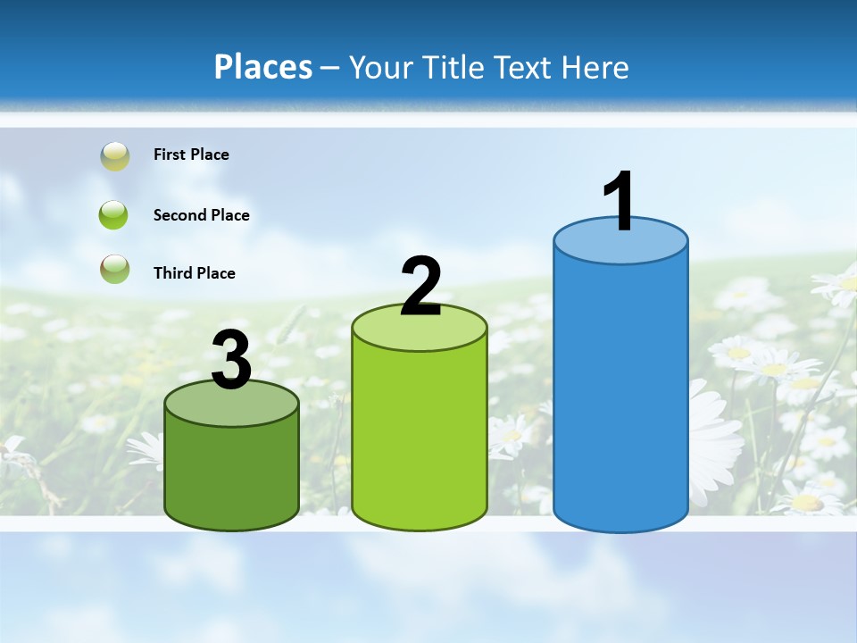Sunlight Camomile Nobody PowerPoint Template
