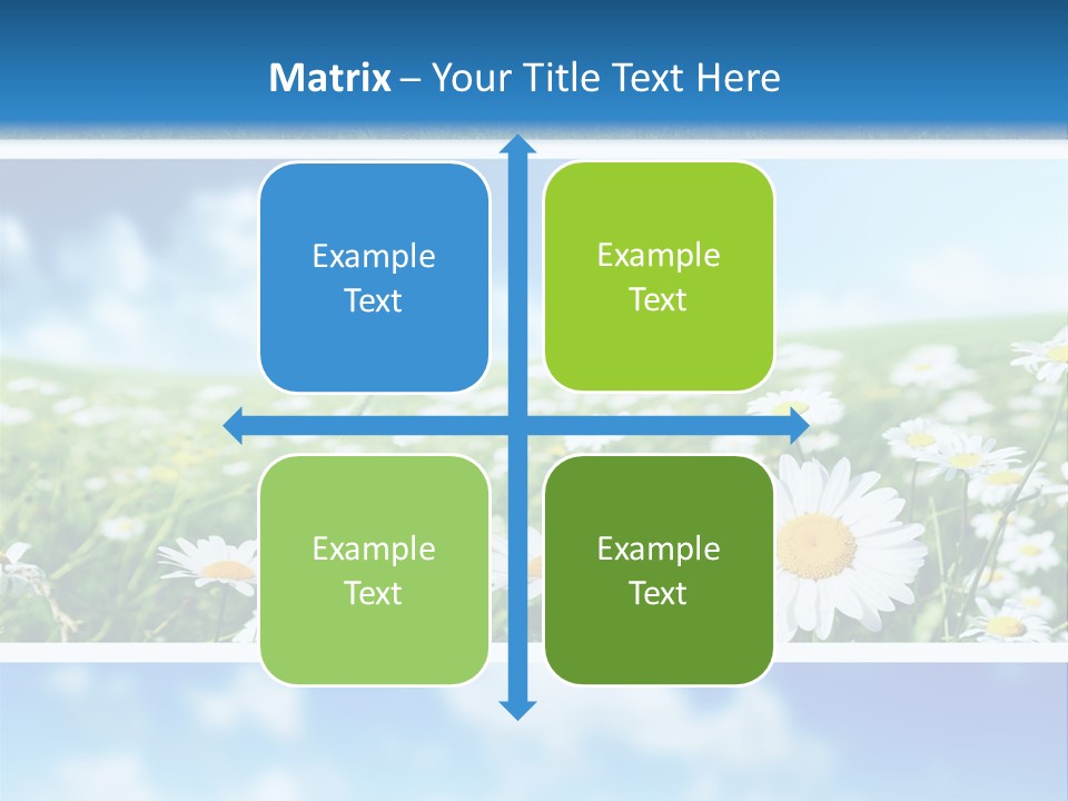 Sunlight Camomile Nobody PowerPoint Template
