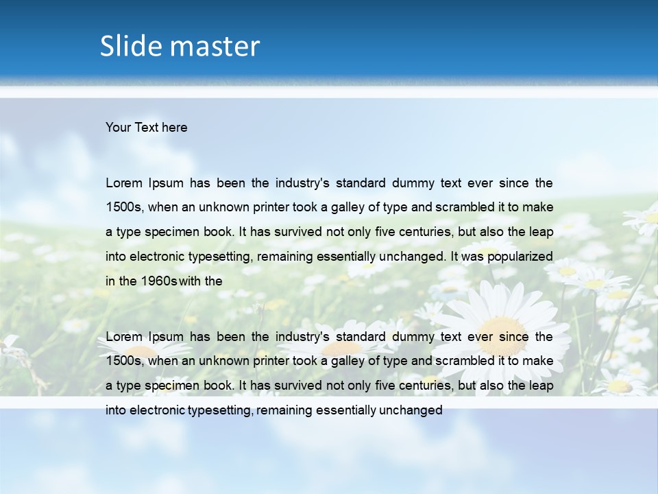 Sunlight Camomile Nobody PowerPoint Template