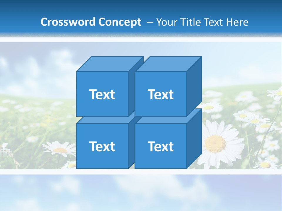 Sunlight Camomile Nobody PowerPoint Template