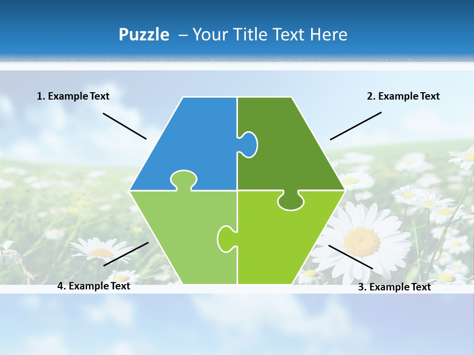 Sunlight Camomile Nobody PowerPoint Template