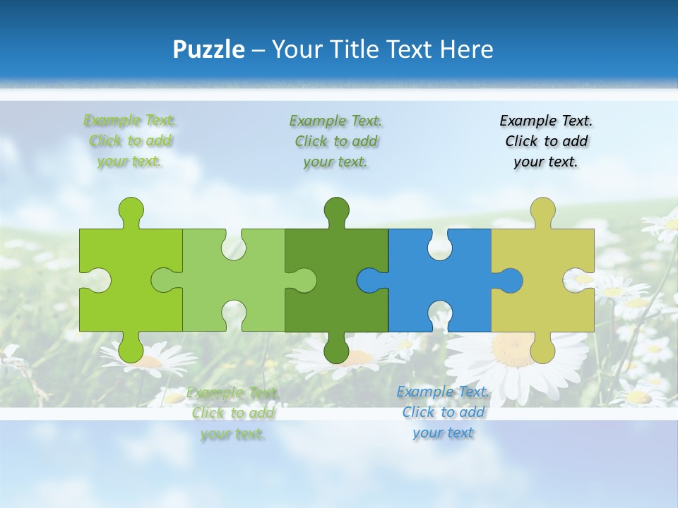 Sunlight Camomile Nobody PowerPoint Template