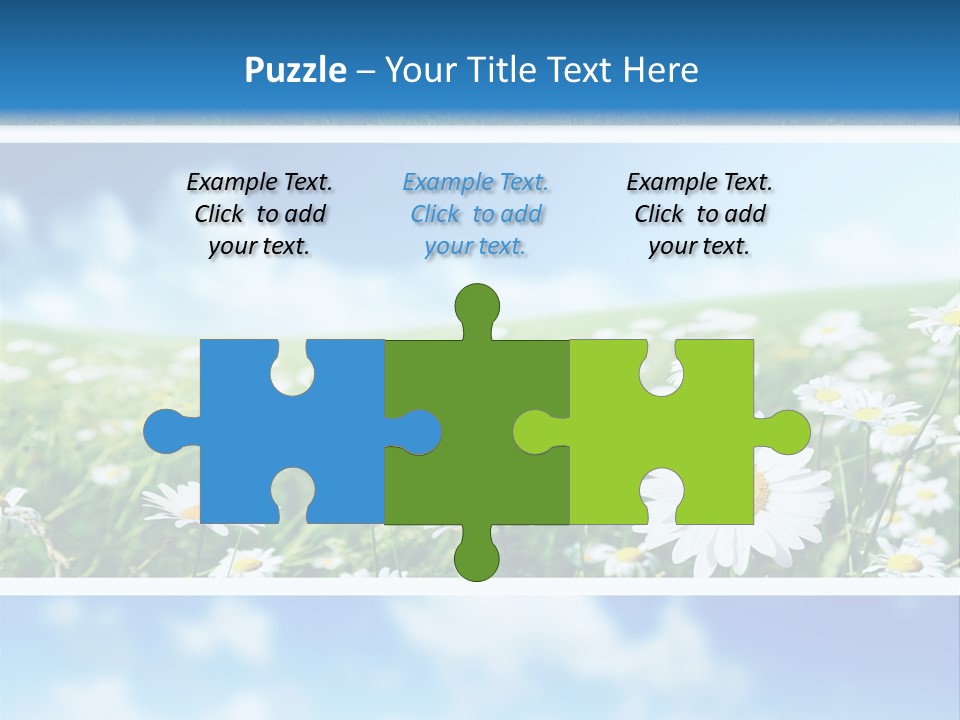 Sunlight Camomile Nobody PowerPoint Template