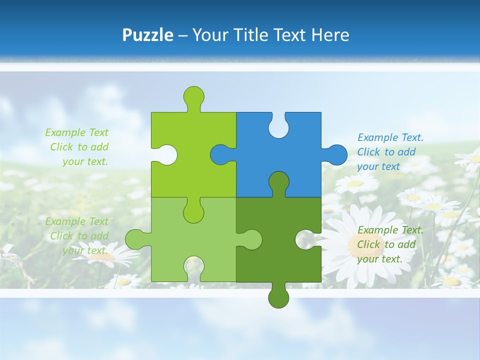Sunlight Camomile Nobody PowerPoint Template