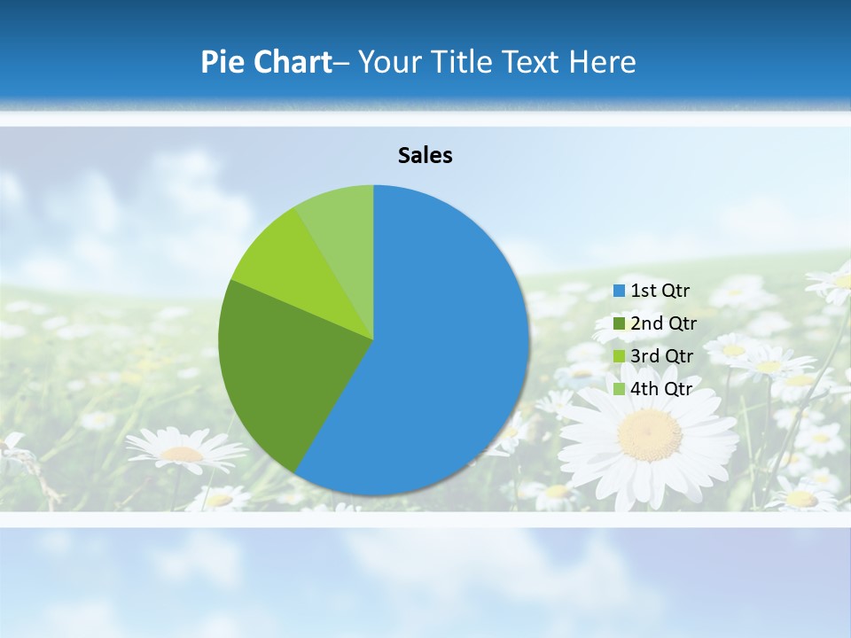 Sunlight Camomile Nobody PowerPoint Template