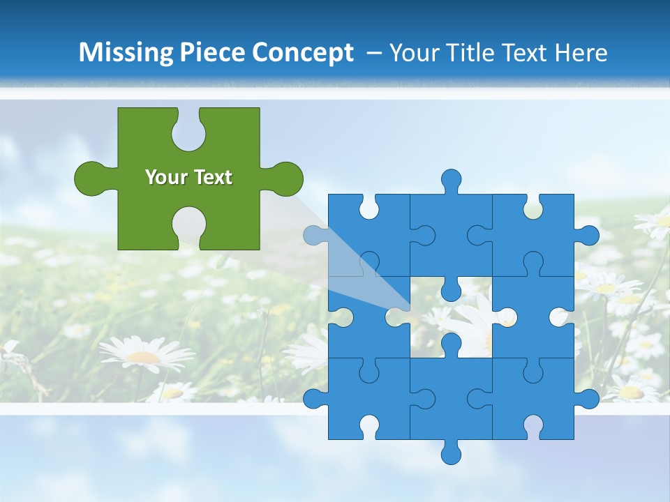 Sunlight Camomile Nobody PowerPoint Template