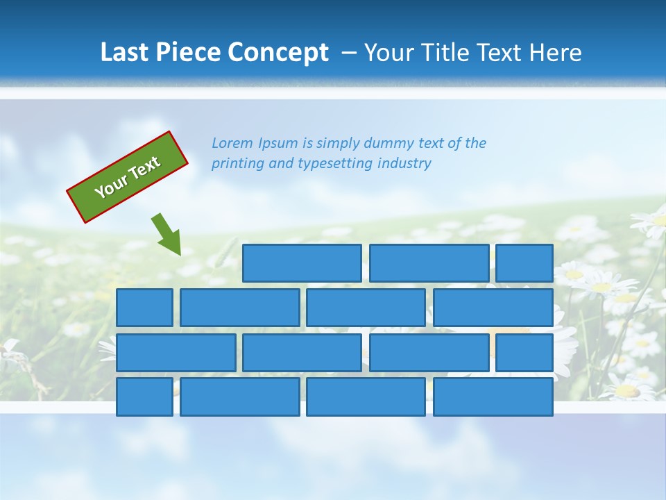 Sunlight Camomile Nobody PowerPoint Template