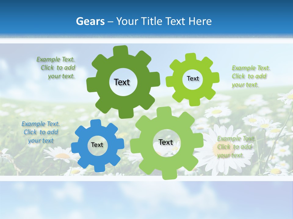 Sunlight Camomile Nobody PowerPoint Template
