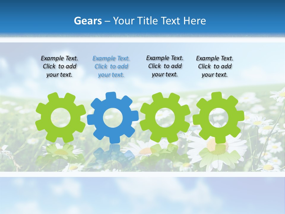 Sunlight Camomile Nobody PowerPoint Template