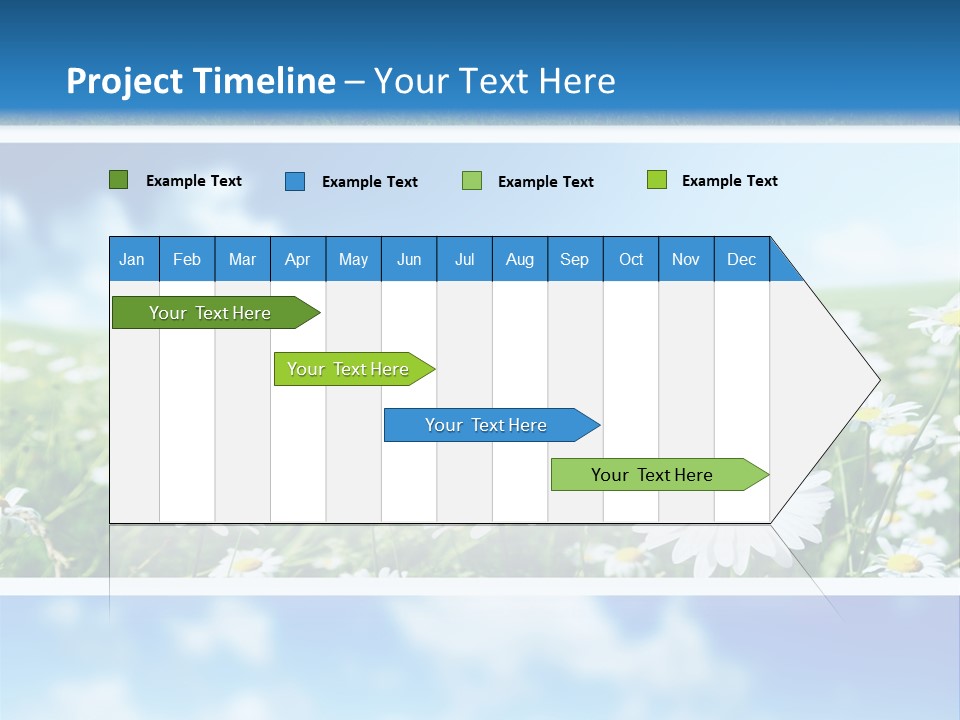 Sunlight Camomile Nobody PowerPoint Template