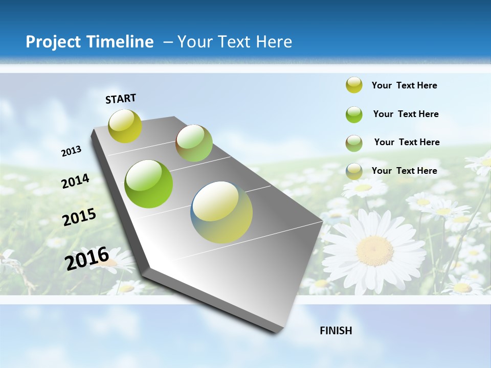 Sunlight Camomile Nobody PowerPoint Template
