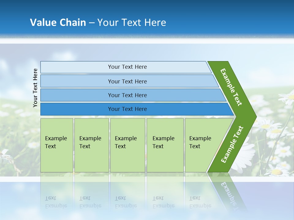 Sunlight Camomile Nobody PowerPoint Template
