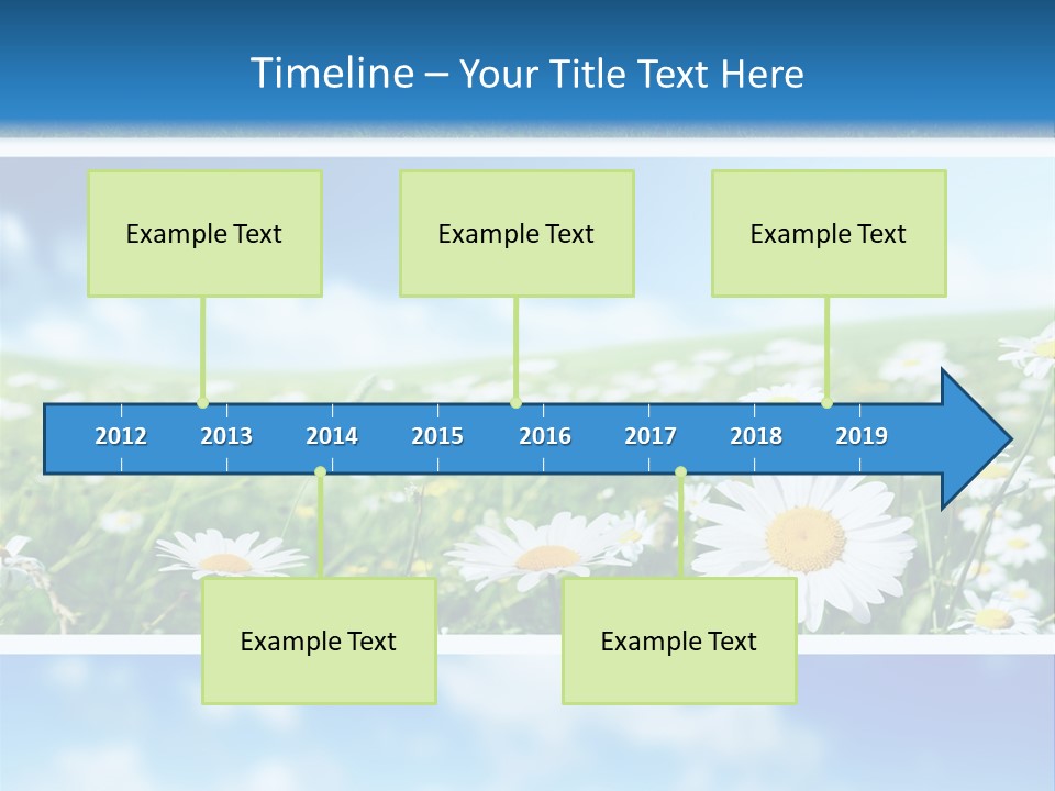 Sunlight Camomile Nobody PowerPoint Template
