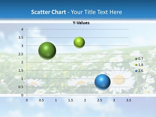 Sunlight Camomile Nobody PowerPoint Template