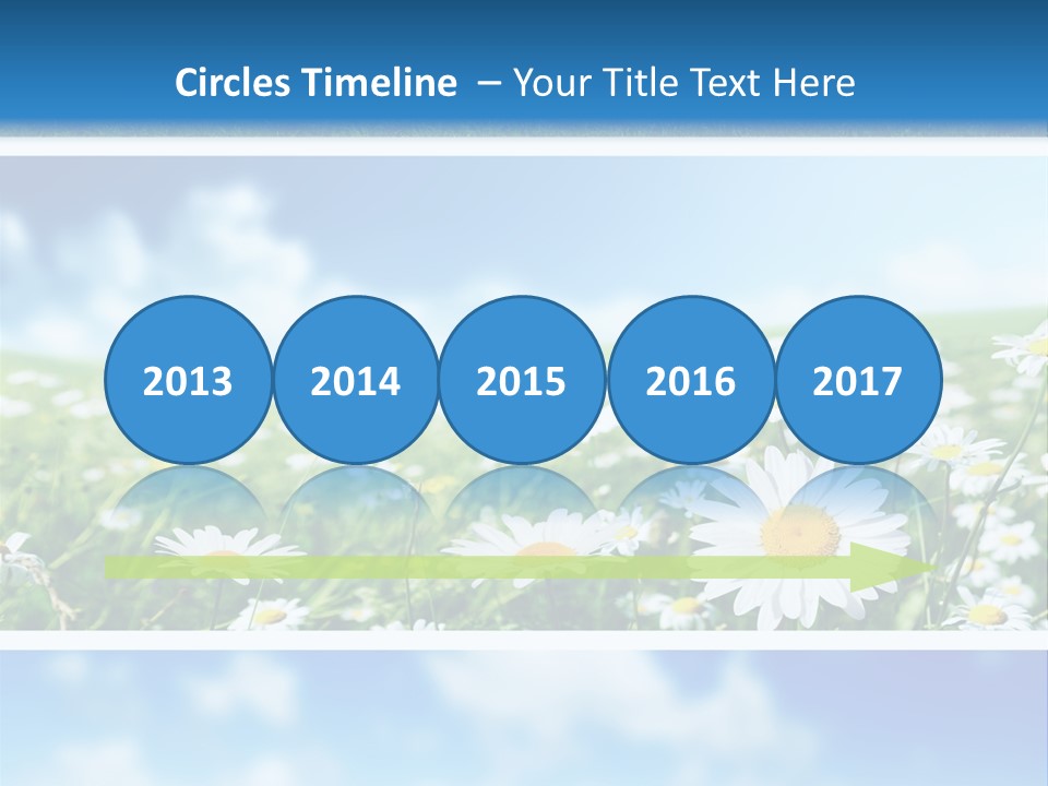 Sunlight Camomile Nobody PowerPoint Template
