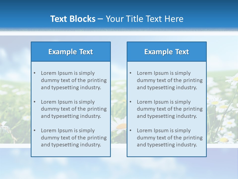 Sunlight Camomile Nobody PowerPoint Template