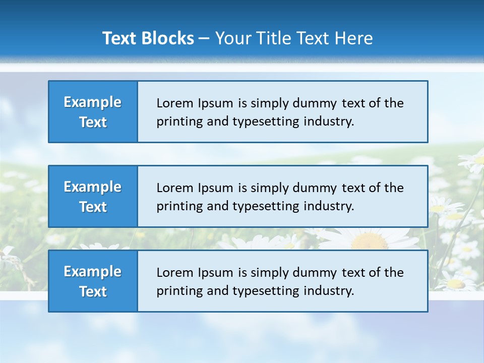 Sunlight Camomile Nobody PowerPoint Template