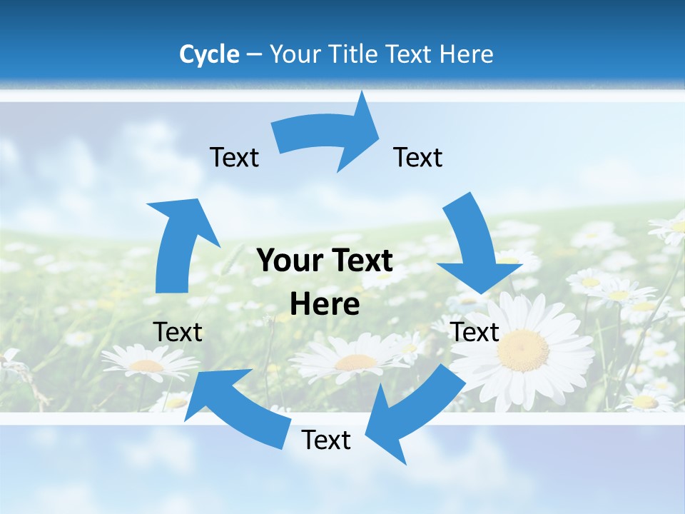 Sunlight Camomile Nobody PowerPoint Template